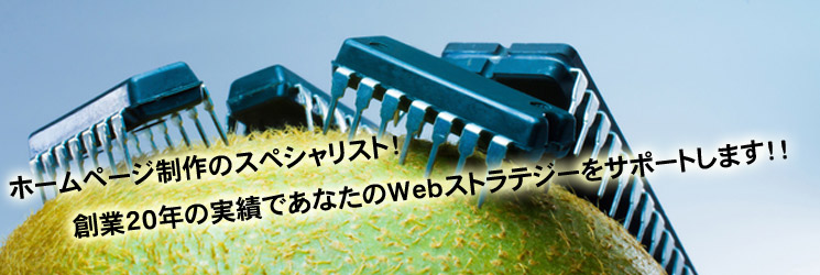 ホームページ制作のスペシャリスト!